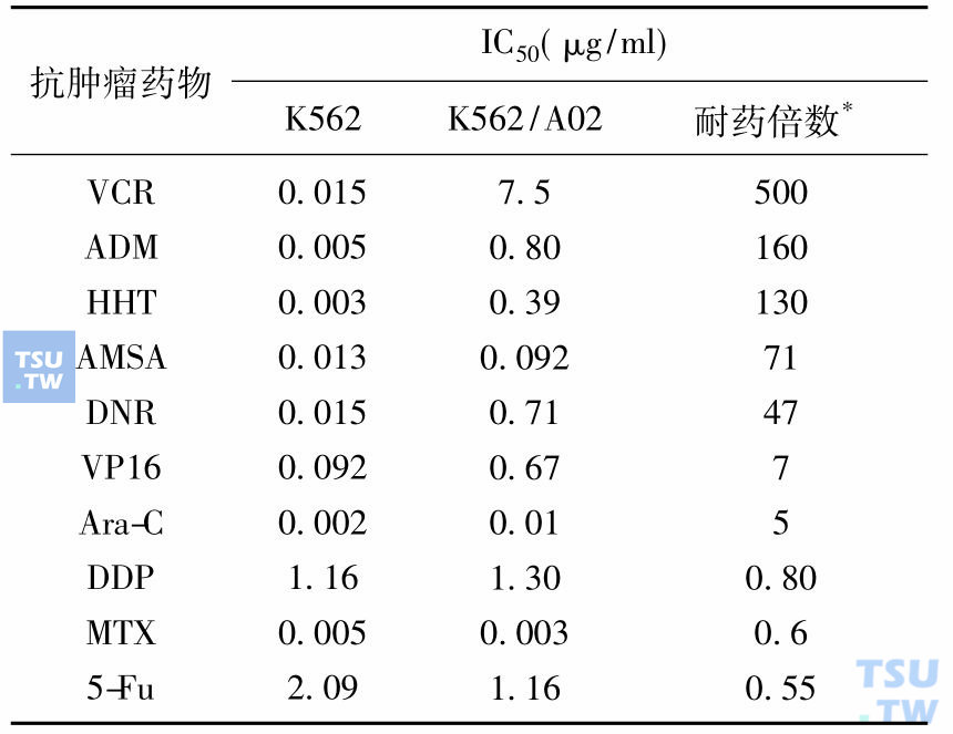 表2　K562和K562/A02对不同种抗肿瘤药物的反应
