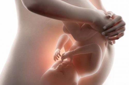 妊娠期母体内分泌功能变化