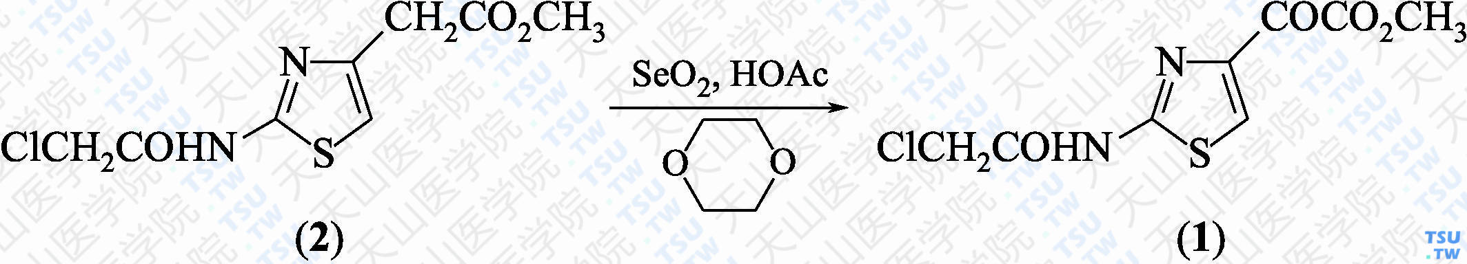 （2-氯乙酰氨基-4-噻唑基）-2-氧代乙酸甲酯（分子式：C<sub>8</sub>H<sub>7</sub>ClN<sub>2</sub>O<sub>4</sub>S）的合成方法路线及其结构式