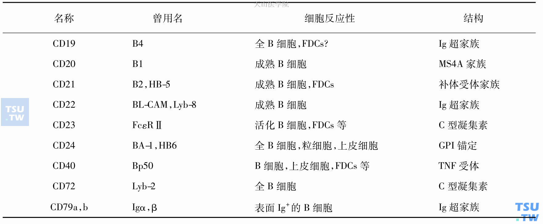 B淋巴细胞的免疫表型