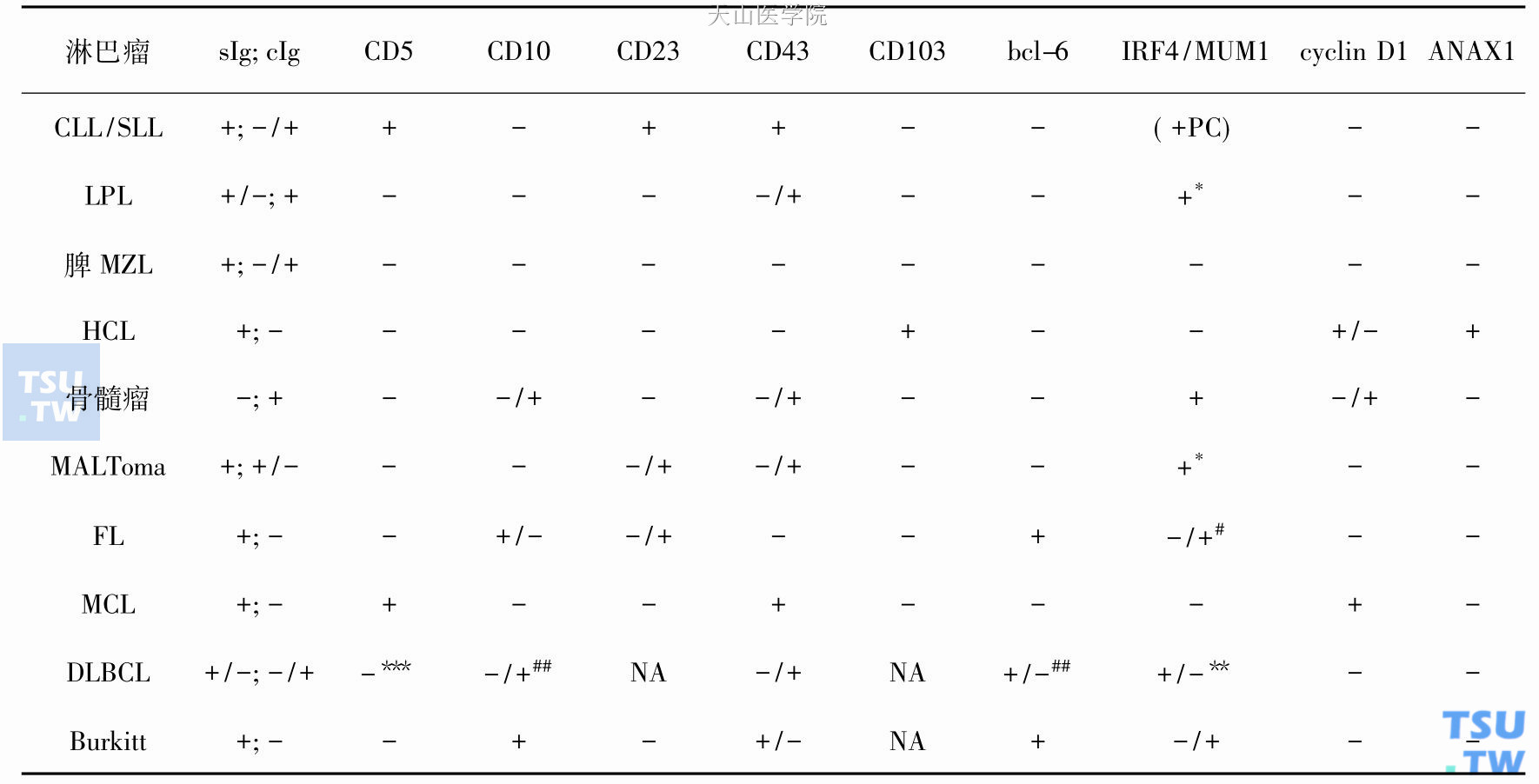 常见B细胞淋巴瘤的免疫组织化学标记分子特点