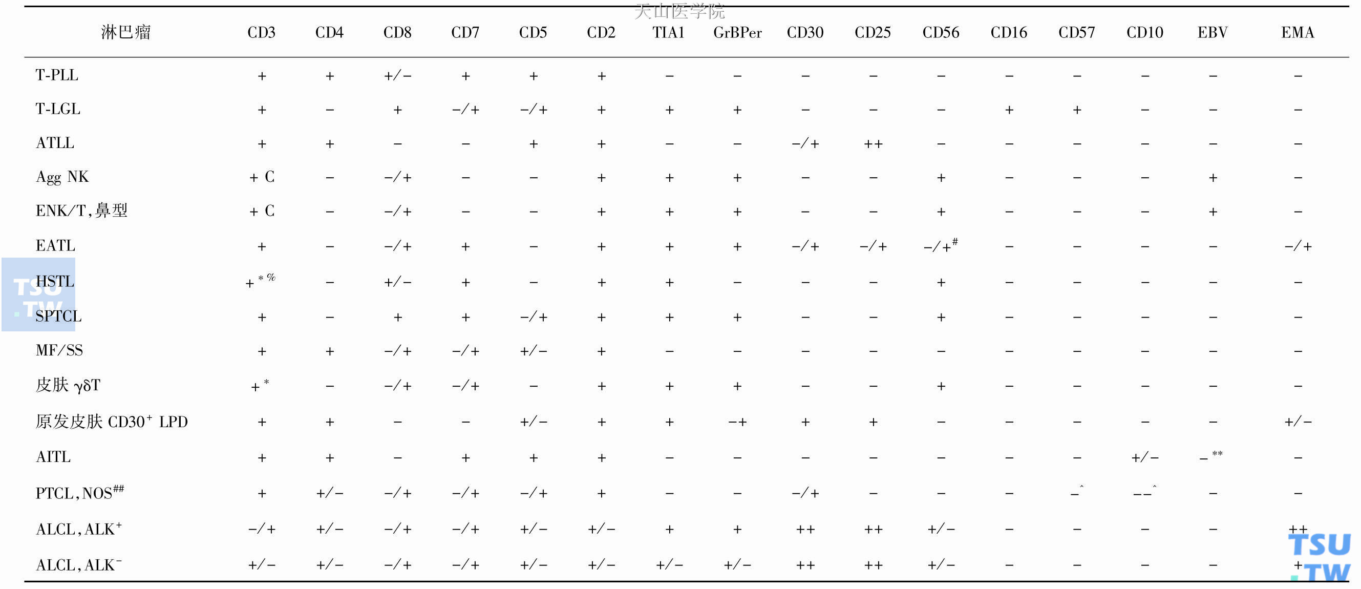 常见T细胞和NK细胞淋巴瘤的免疫组织化学标记分子特点