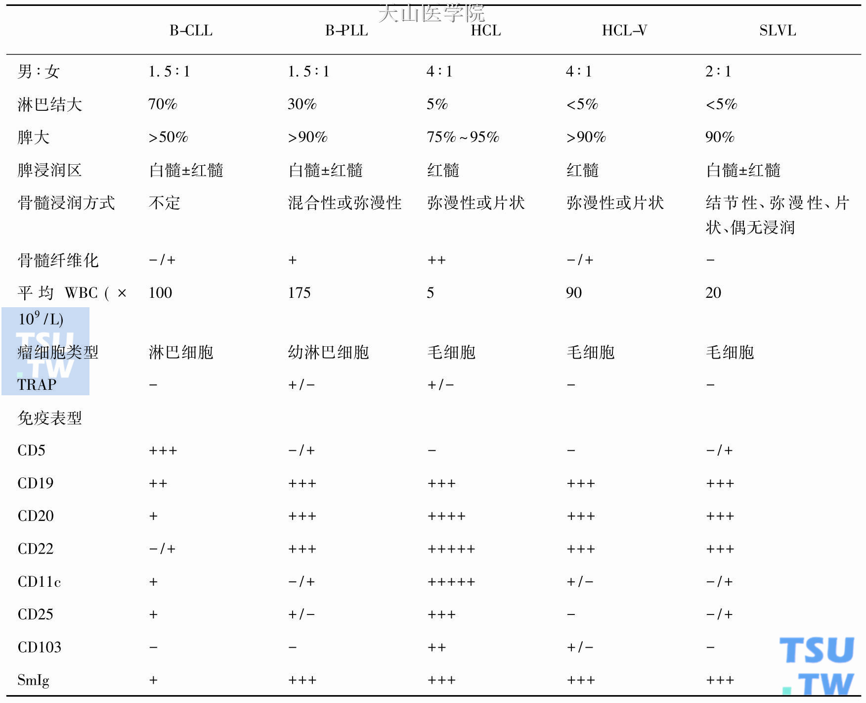 HCL及HCL- V与B- CLL、B- PLL及SLVL的鉴别