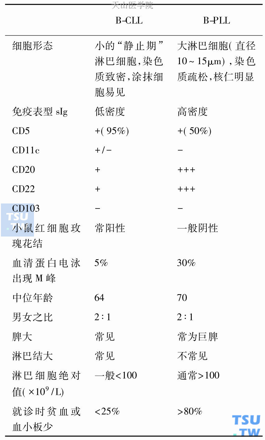 幼淋巴细胞白血病