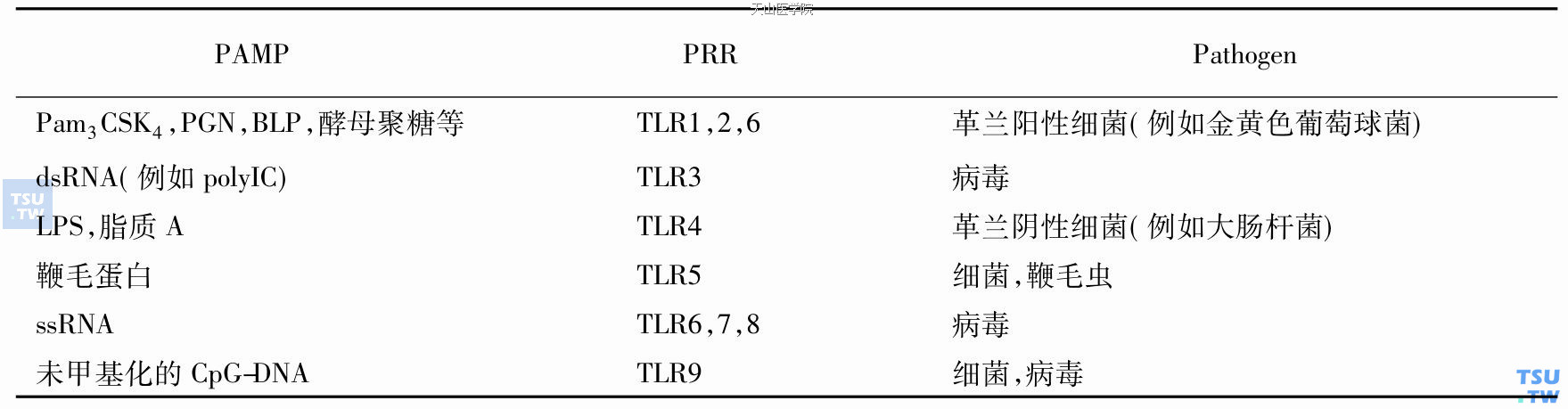 TLR、病原体及其衍生物