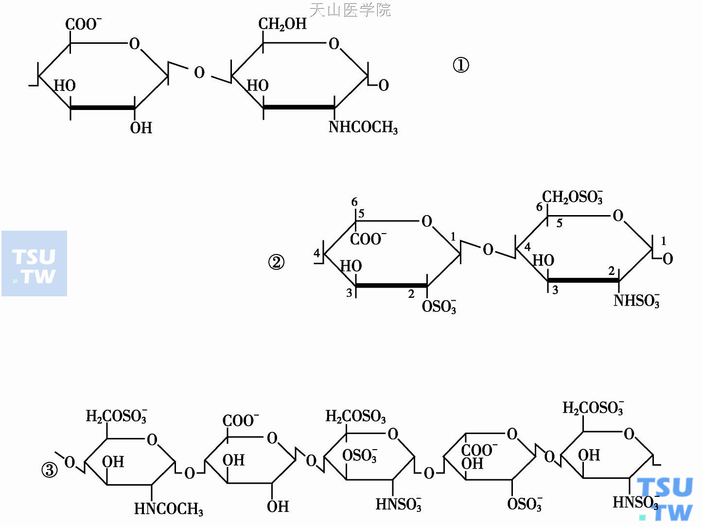  肝素链的基本重复结构及戊糖序列