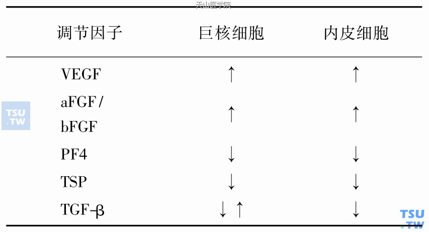 巨核细胞和内皮细胞的共同调节因子