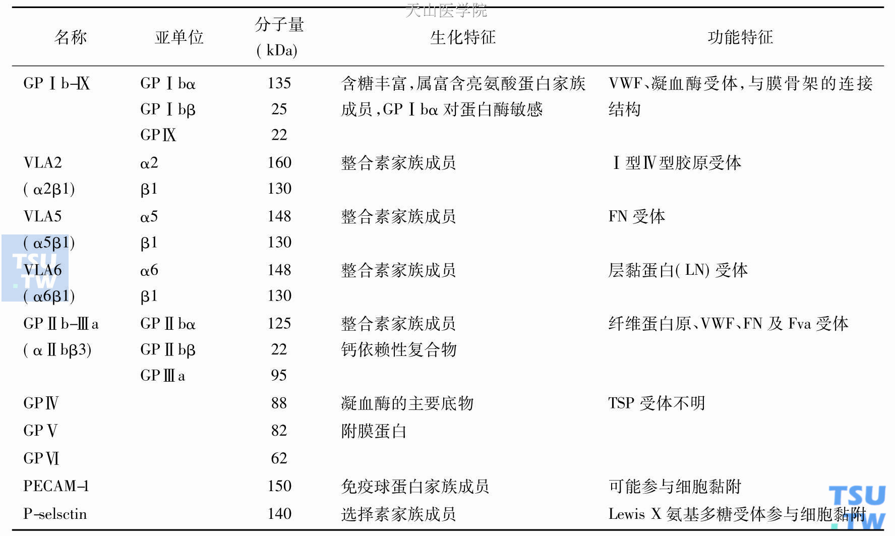 主要的血小板糖蛋白