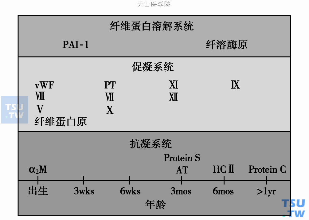  各年龄段凝血蛋白的合成和分布；α2M：α2巨球蛋白；AT：抗凝血酶；HCⅡ：肝素辅因子；PAI- 1：纤溶酶原激动剂抑制物-1。出处：Hoffman血液病学，2005年版，第126章