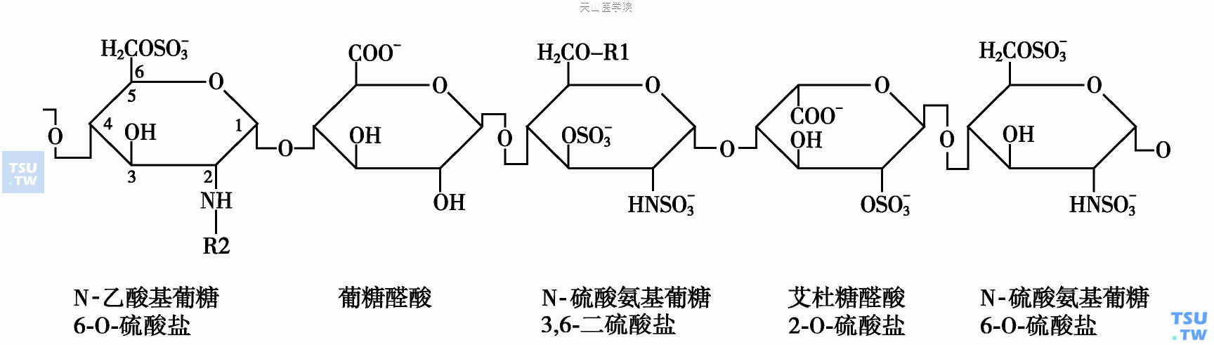  肝素的结构