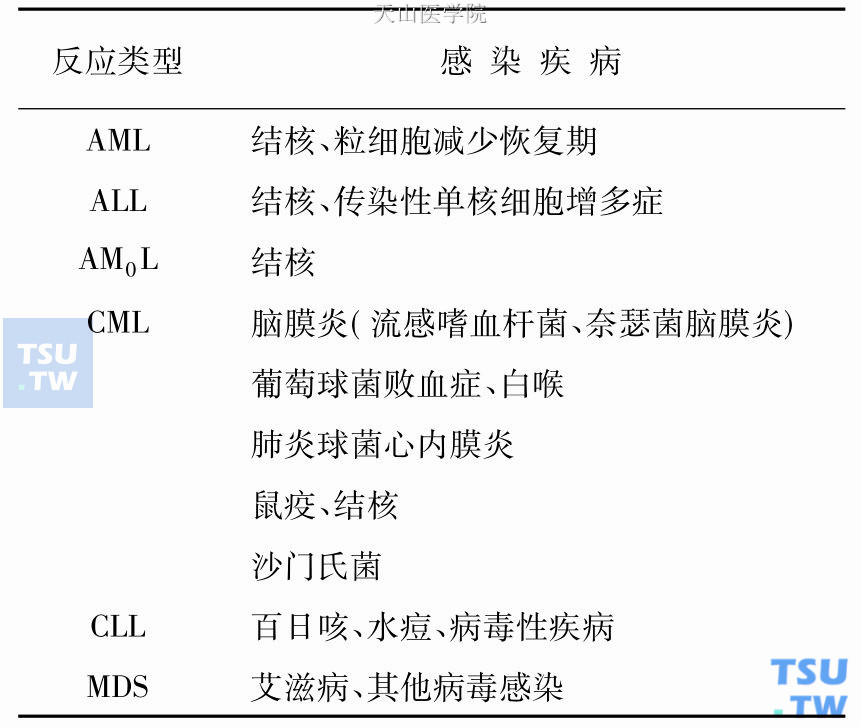 感染与类白血病反应类型