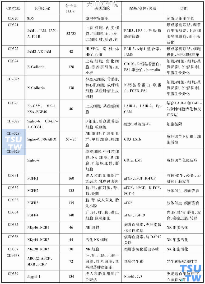 血细胞分化抗原