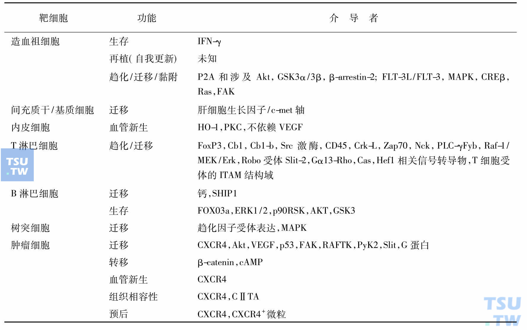 SDF-1/CXCL12功能的介导