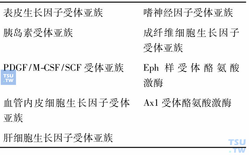 受体酪氨酸激酶族的九个亚族