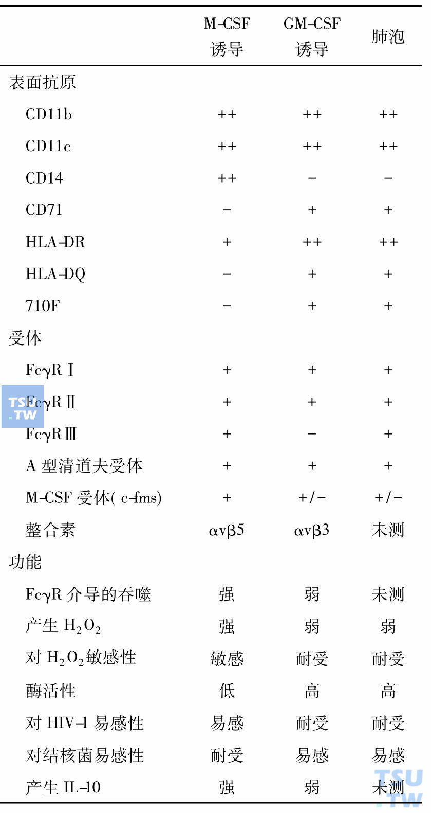 不同来源巨噬细胞的性质（Akagawa 2002）