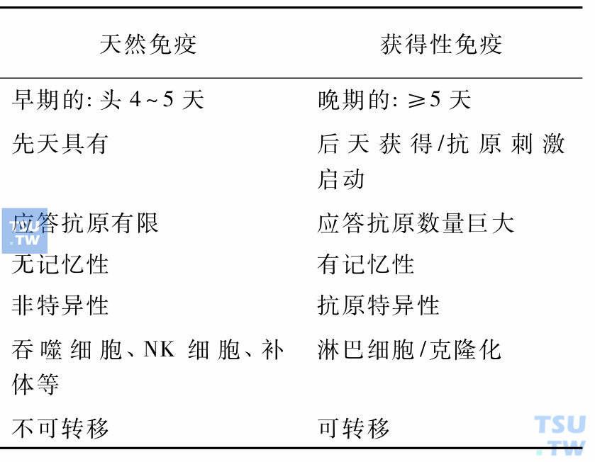 免疫系统的特点和功能