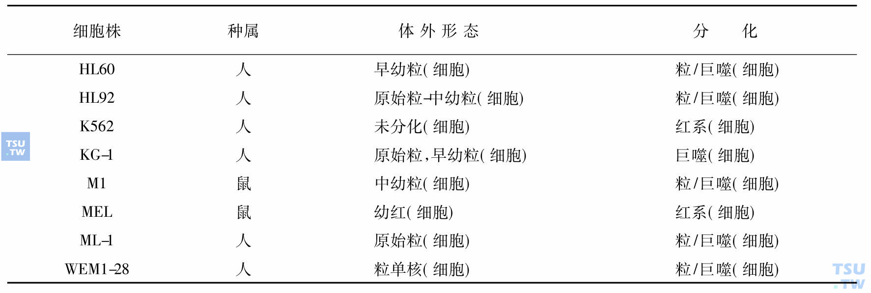 分化诱导试验的细胞株