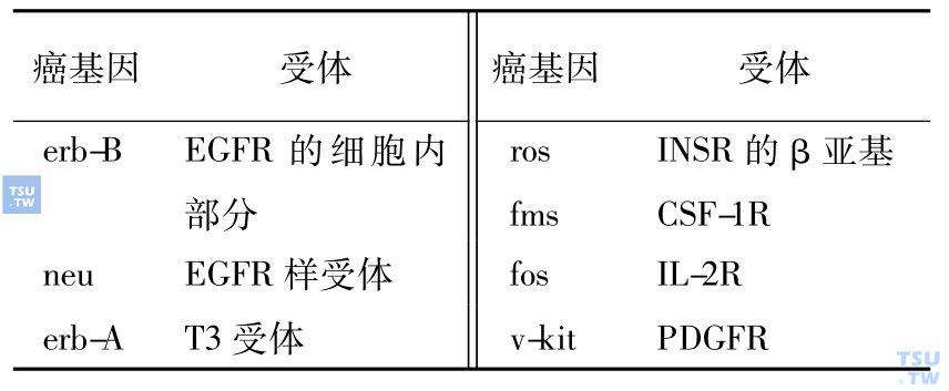 与癌基因同源的受体