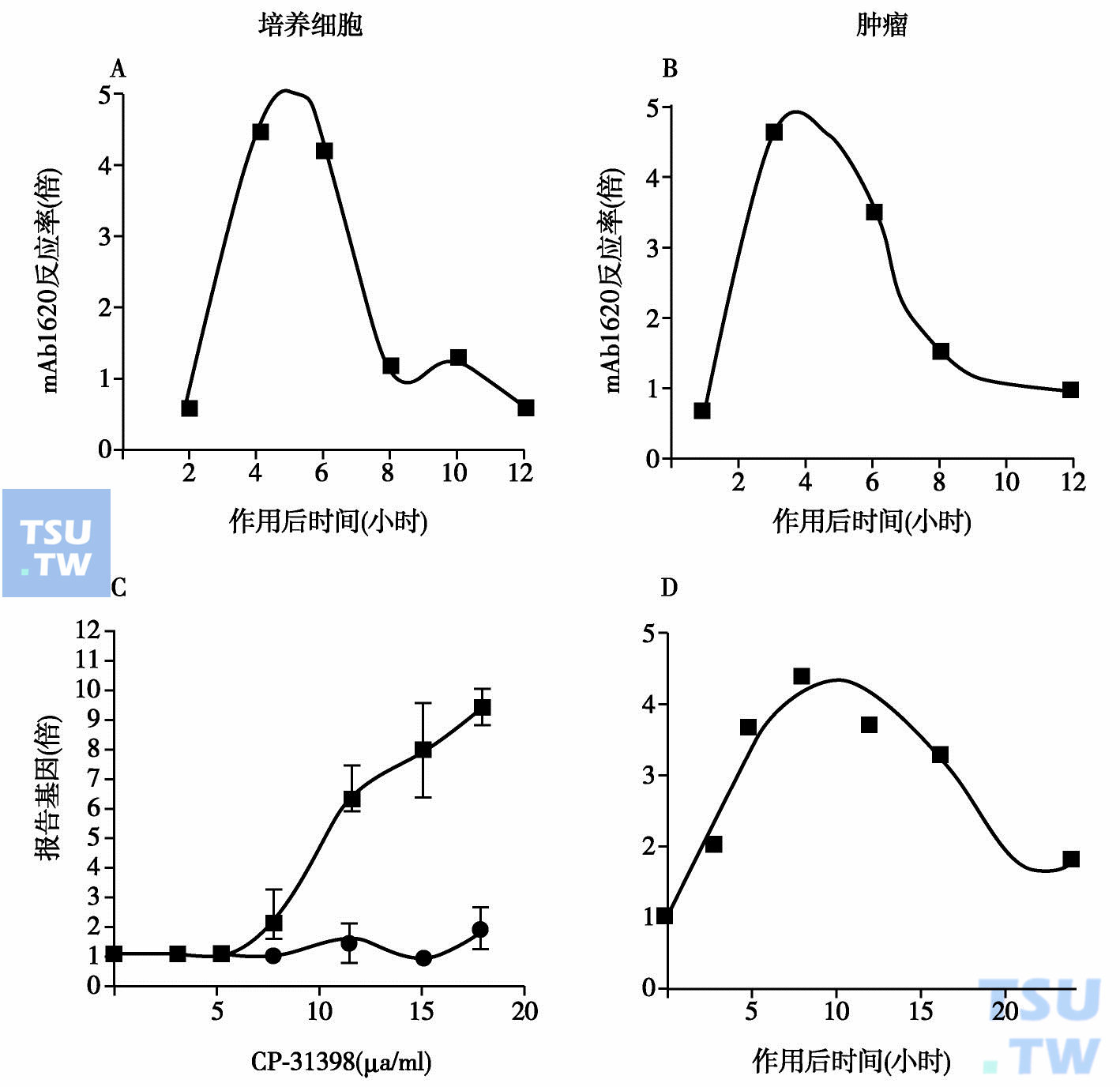  在H1299细胞中突变p53的构象和转录活性的调节