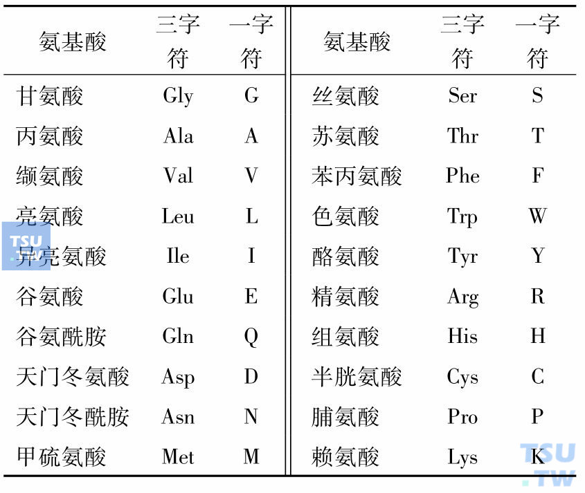 20种氨基酸分类图图片