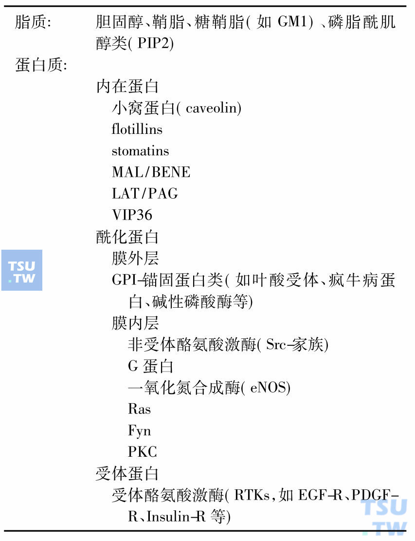 脂筏的组分