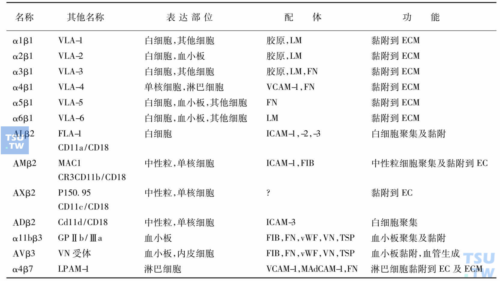 血细胞的整合素