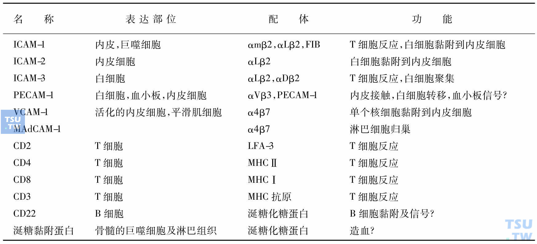 免疫球蛋白超家族