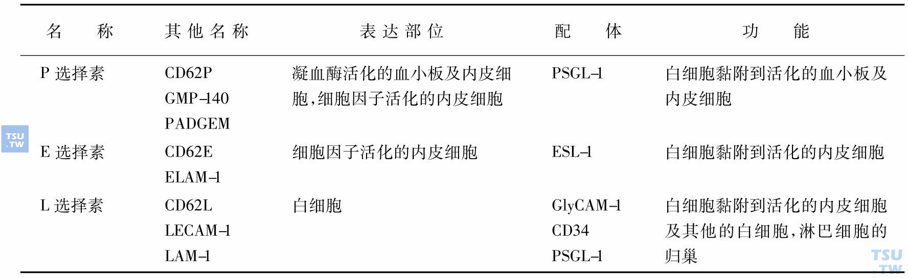 选择素的表达部位及功能