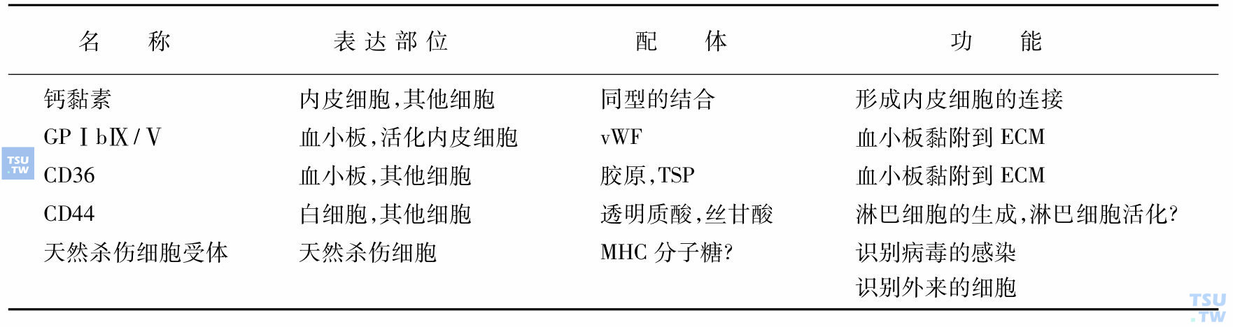 钙黏素及其他黏附分子