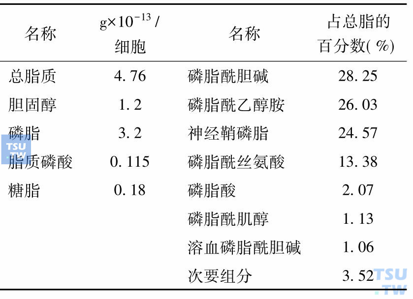 红细胞膜脂质组成