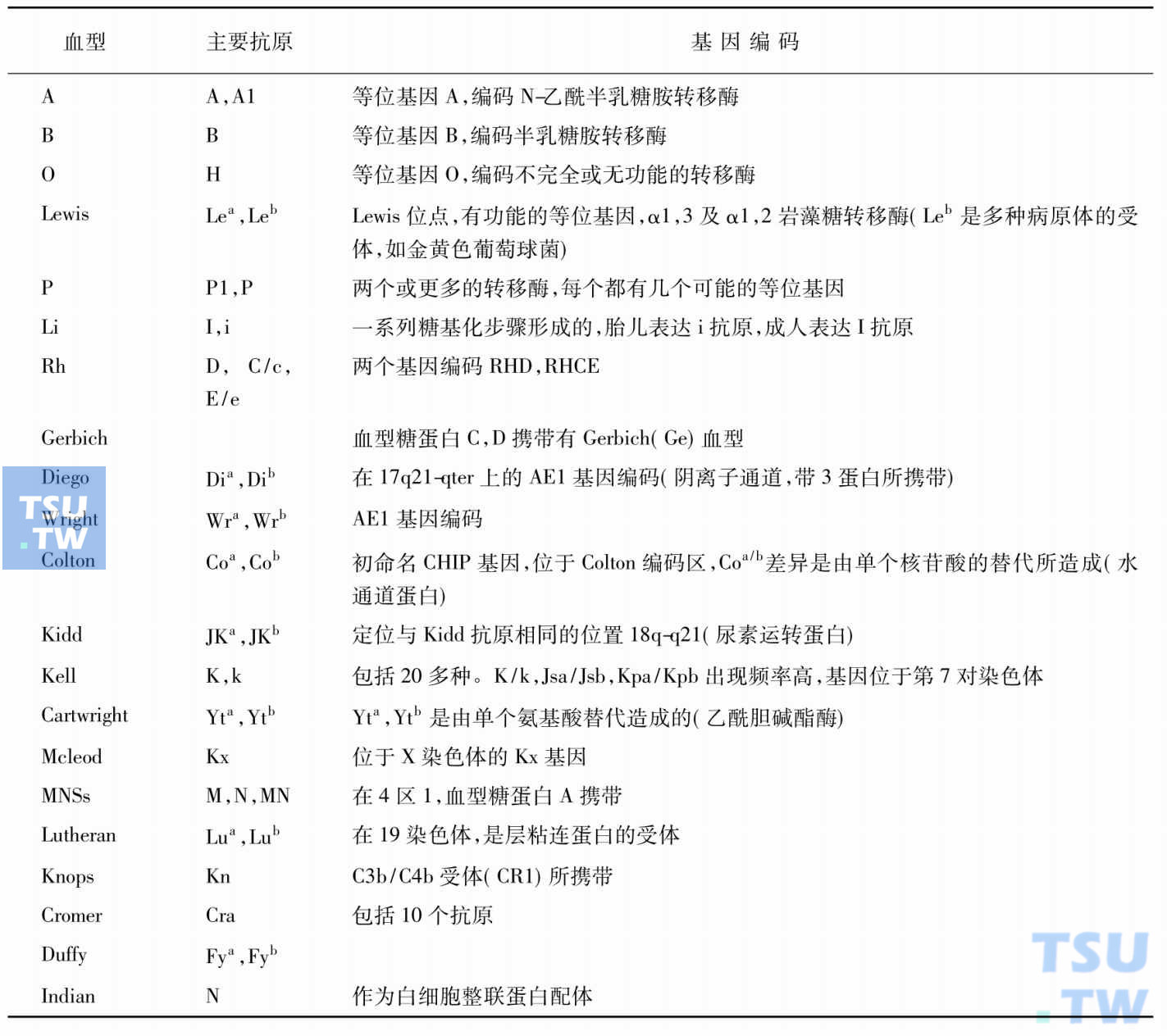 人类红细胞血型系统