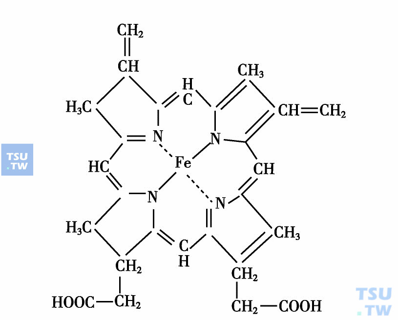  血红素的结构
