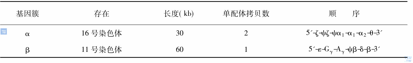 人珠蛋白基因簇组织