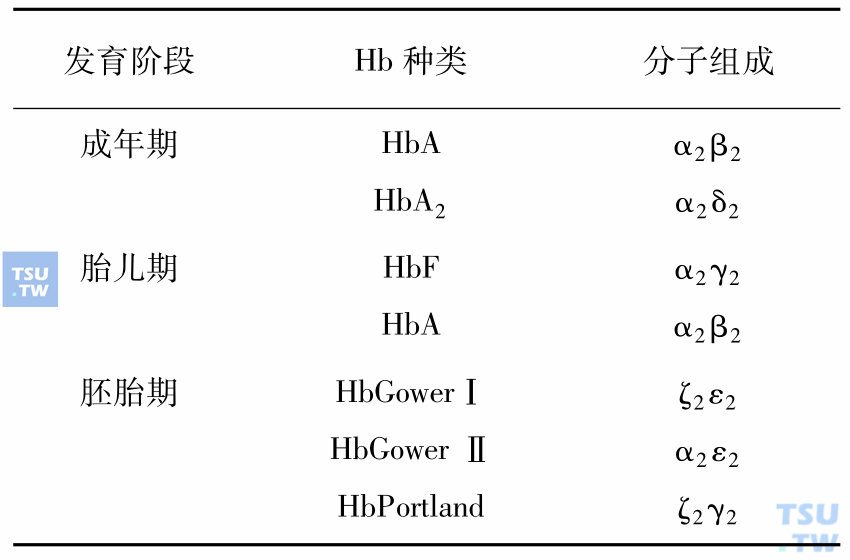 人发育期血红蛋白的组成