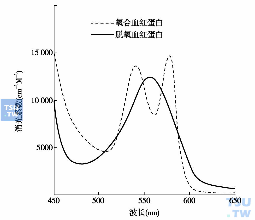  氧合和脱氧血红蛋白的可见吸收光谱