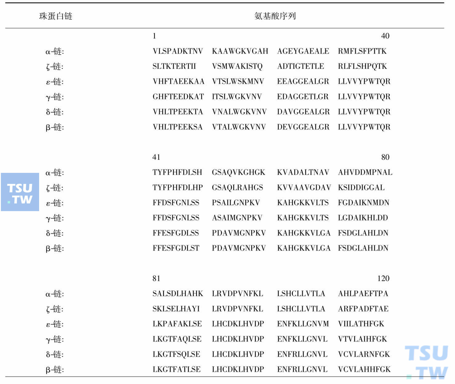 人体珠蛋白链的一级结构