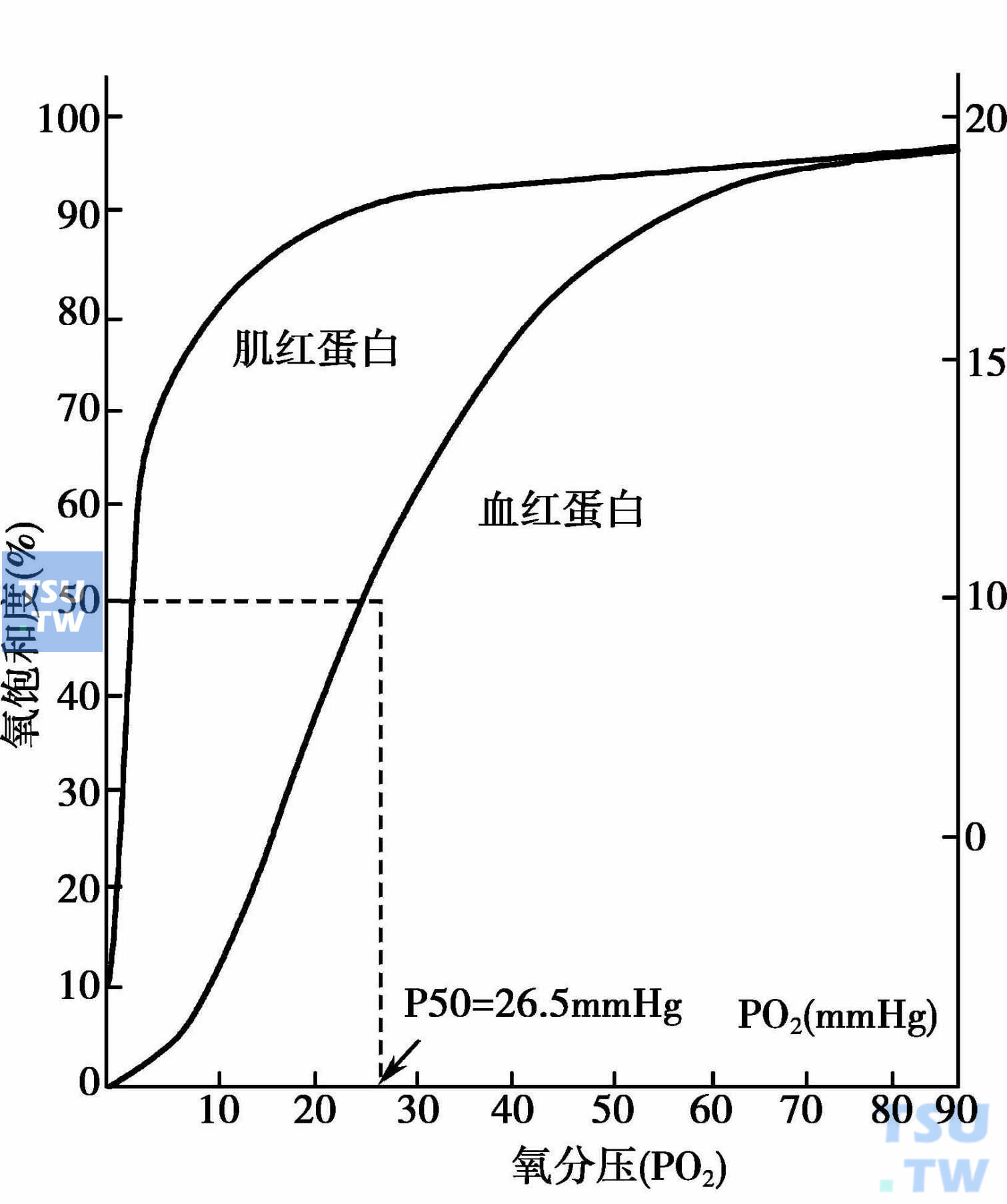 氧解离曲线p50图片