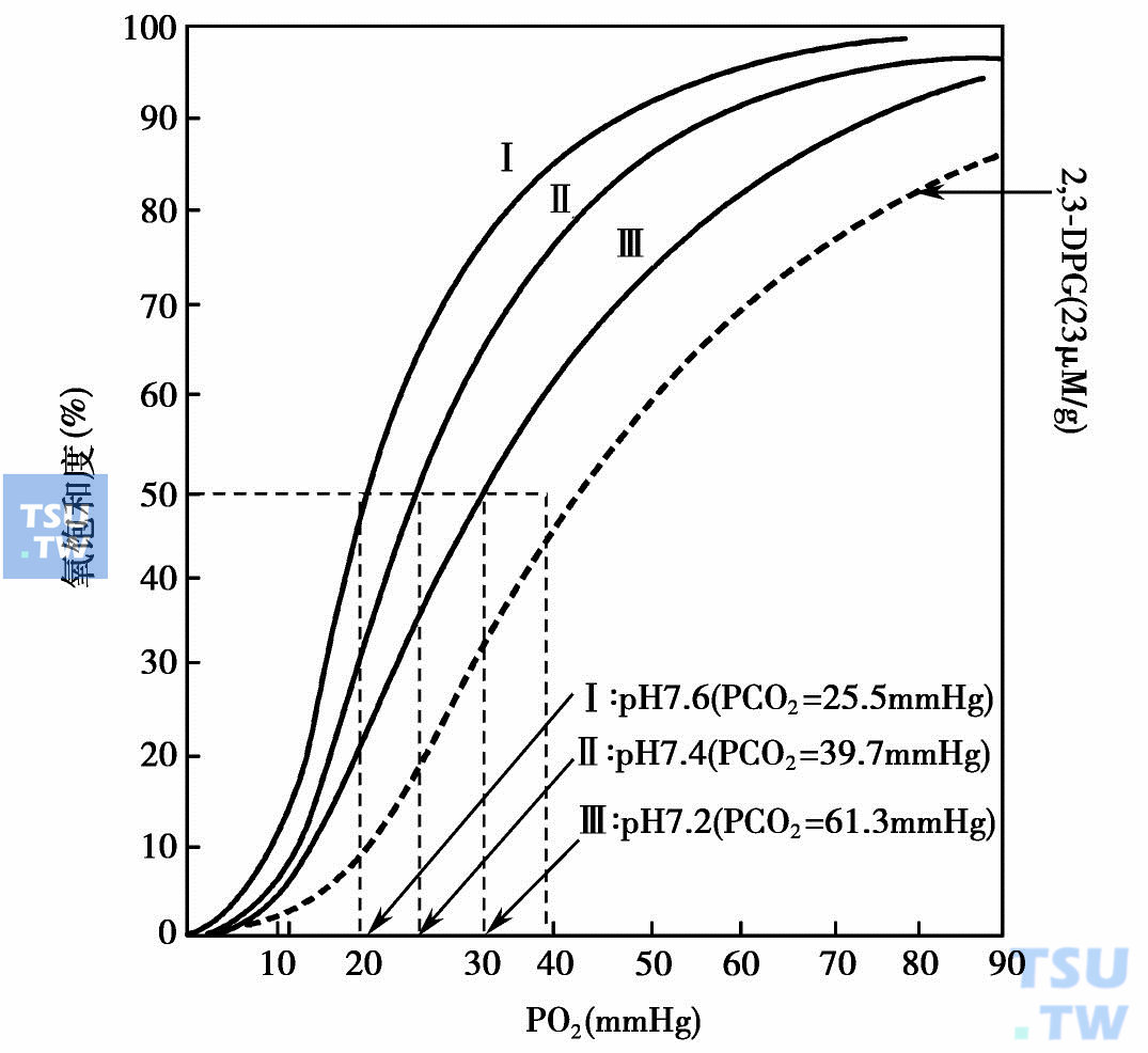  pH和PCO2对血红蛋白氧解离曲线的影响