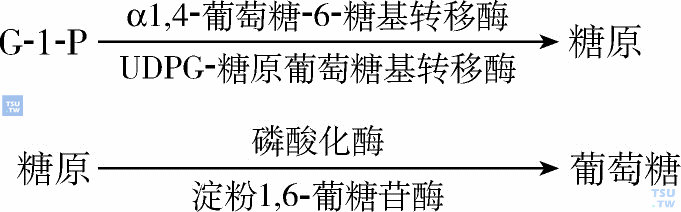 葡萄糖外底物作为生物能源的作用