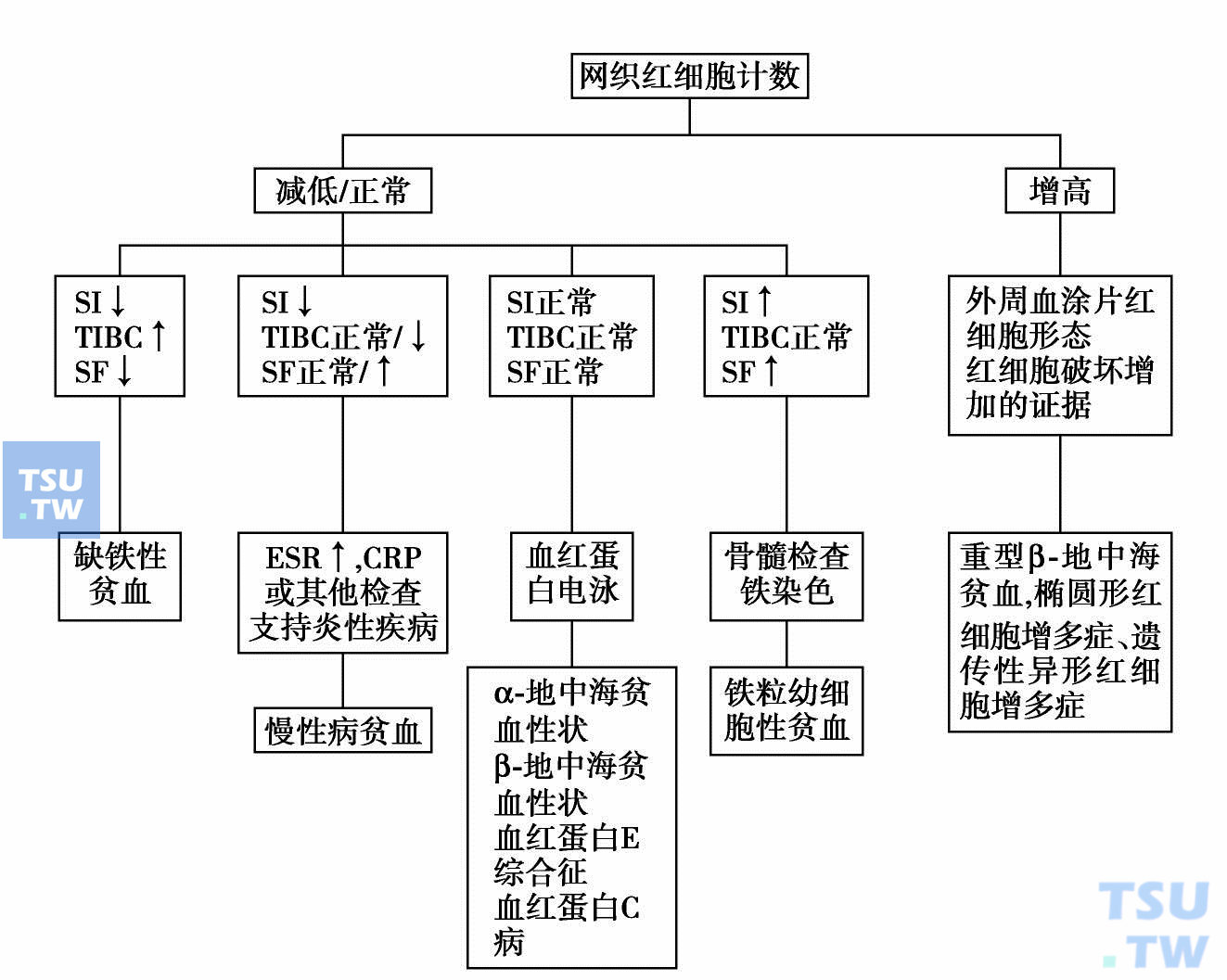  小细胞贫血病因诊断评价