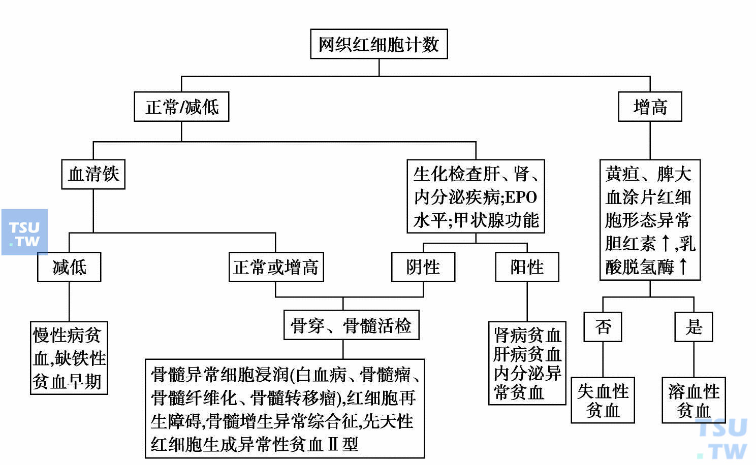  正细胞贫血病因诊断评价