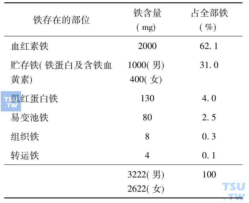 正常人体内铁的分布