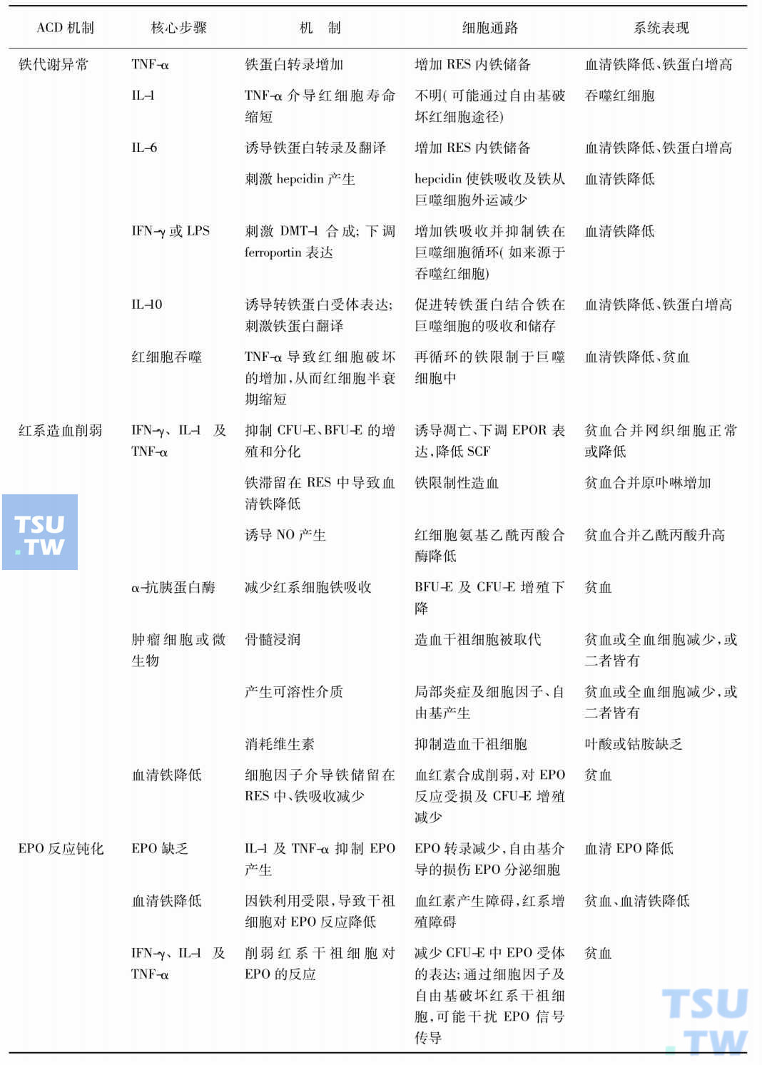 慢性病贫血发病机制及其影响因素