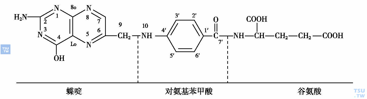  叶酸结构图