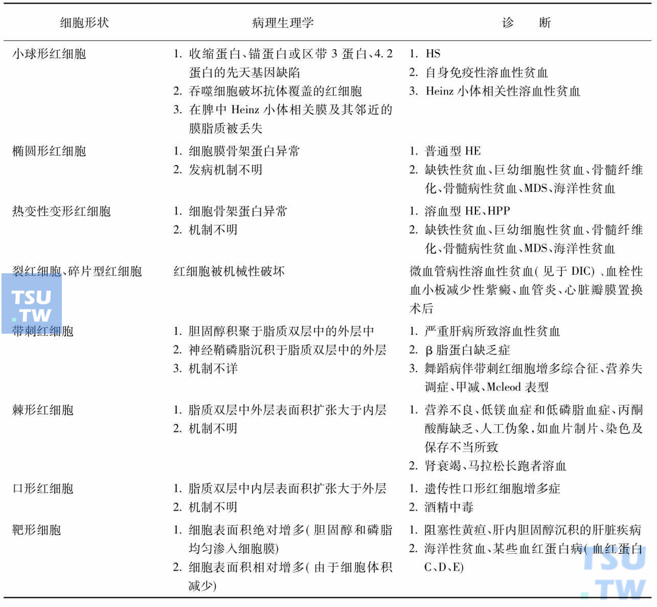 外周血片分析在诊断红细胞膜疾病中的意义