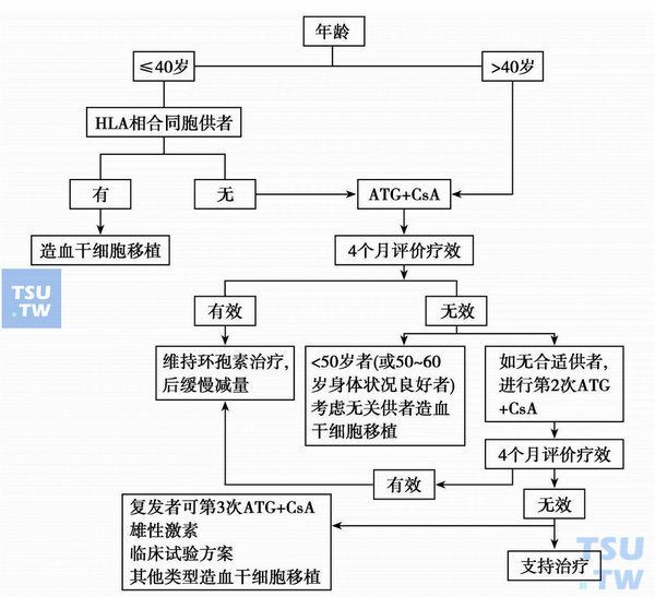  获得性重型再障的治疗