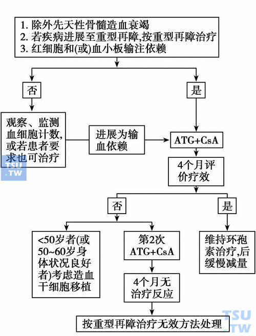 再生障碍性贫血的三大疗法解读