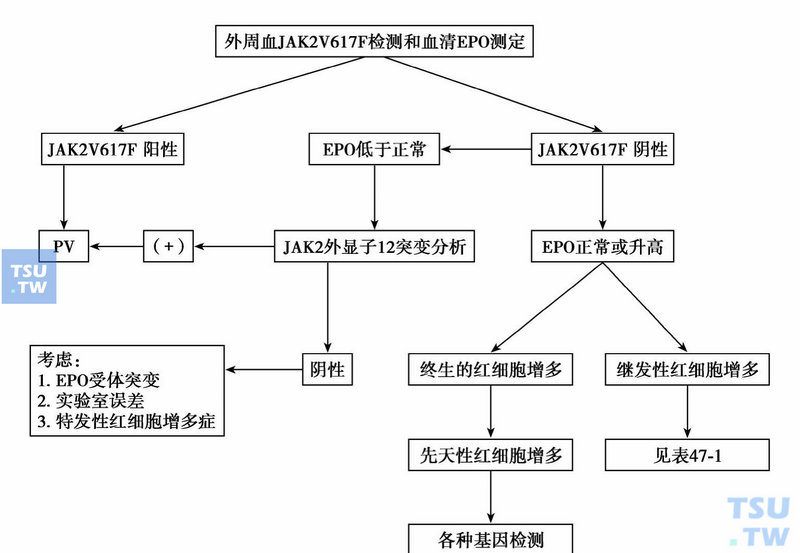 继发性红细胞增多症