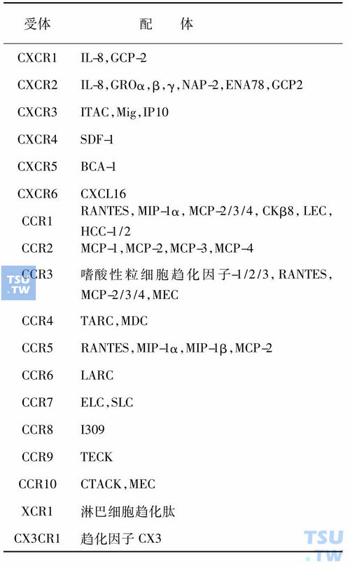 中性粒细胞趋化性受体的性质:七次跨膜受体家族