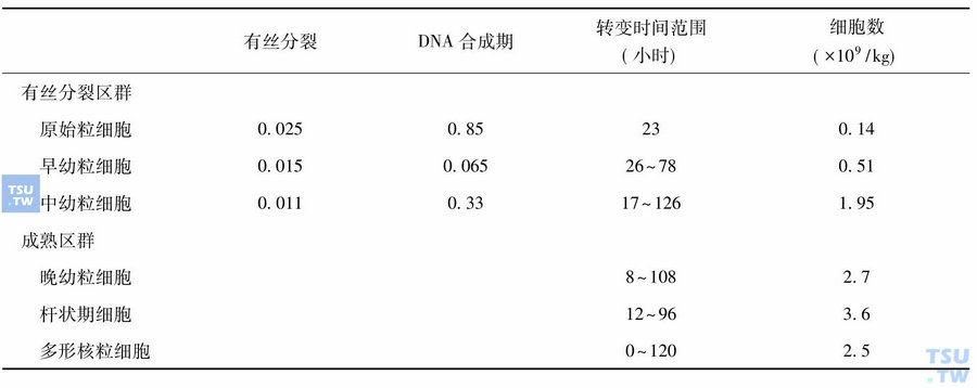 骨髓中性粒细胞动力学